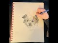 What do we think of Peach? 🤔 #art #artist #artwork #graphitedrawings #petportrait #commission