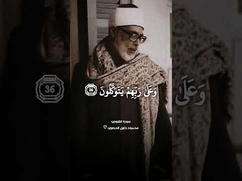 شيخ القراء محمود خليل الحصري ¦ تلاوة من سورة الشورى #الحصري ♡
