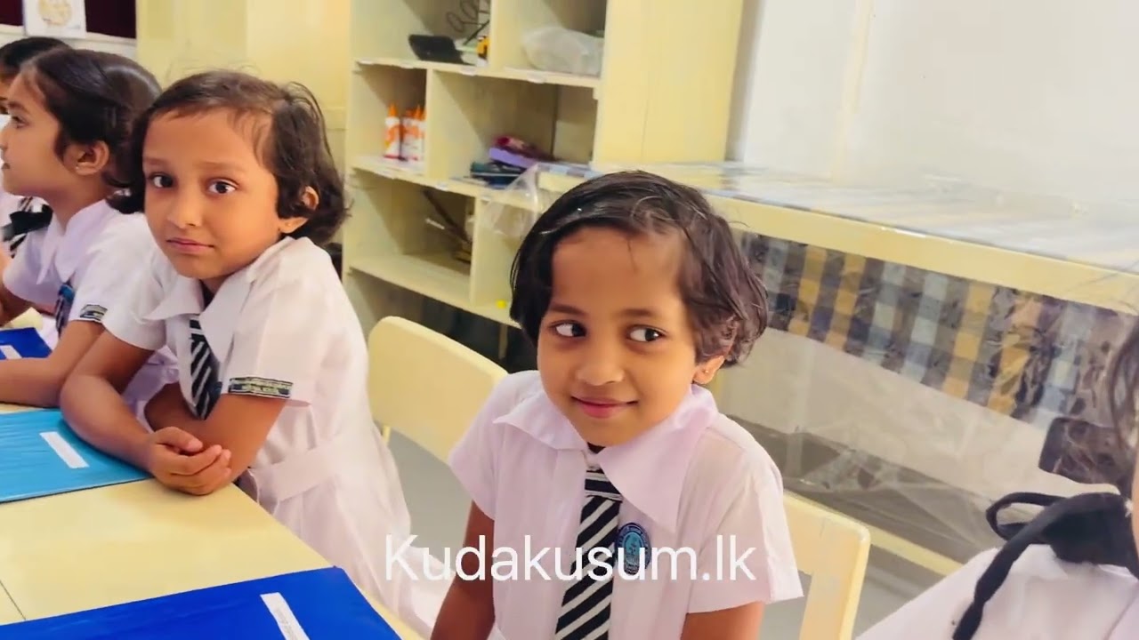 Grade 3 Diagnostic Assessment Exhibition | Primary Education - KKBMV