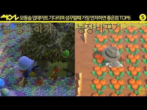 모동숲 2.0 업데이트 하기전에 섬꾸할때 가장 먼저하면 좋은 점 TOP6