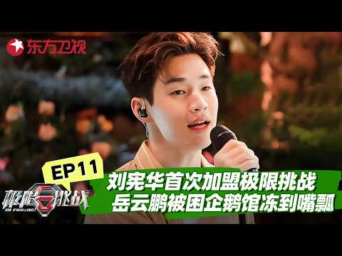 刘宪华首次加盟极限挑战！岳云鹏被困企鹅馆冻到嘴瓢！热巴智商演技双在线，枕头大战骗光对手！【#极限挑战第五季】#极限挑战5 FULL