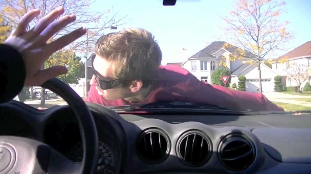 Worst SeeingEyeDog Ever YouTube