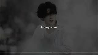 bts - baepsae (sped up   reverb)