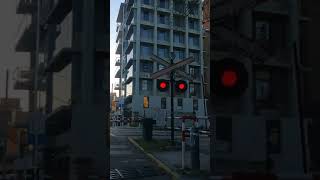 05/08/2023 | Ferrocarril Mitre - Paso a Nivel Roma (Vicente López)