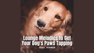 Tail-Wagging Rhythms