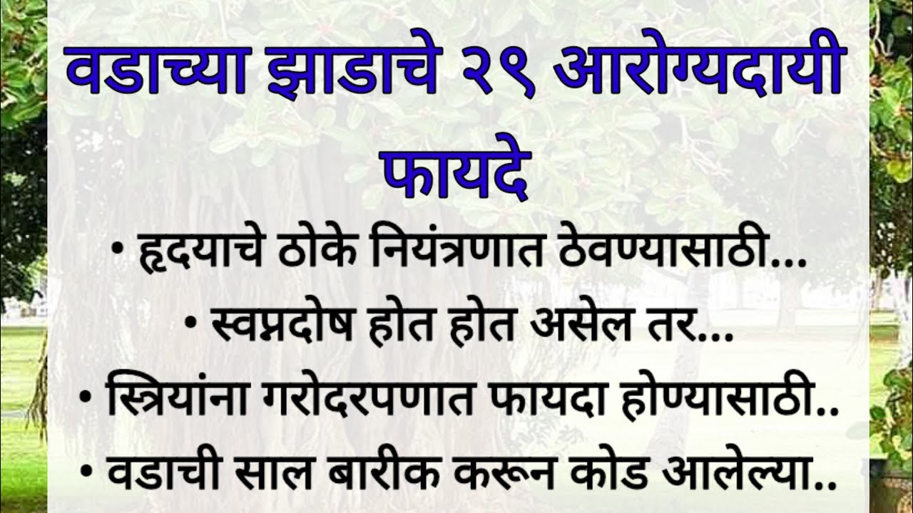 वडाच्या झाडाचे २९ आरोग्यदायी फायदे || Health Benefits Of Banyan Tree 🌴 Health Tips