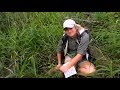 Safari Live Tayla Takes A Fall On Bush Walk This Afternoon Funny April 12 2018 Safari Live Tayla Takes A Fall On Bush Walk This Afternoon Funny April 12 2018