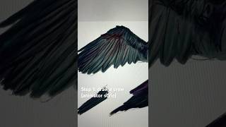 Assemble the crow #art #animation