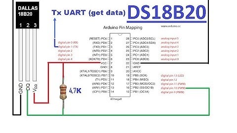 DS18B20 Temperature Sensor