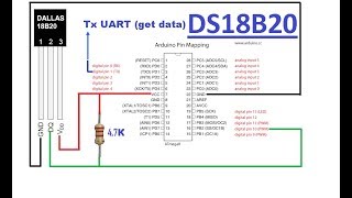 DS18B20 Temperature Sensor