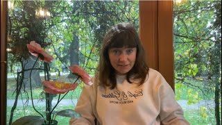 картинка: Скільки коштує житло для біженців в Польщі?
