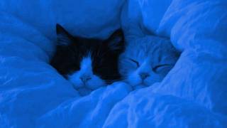 close your eyes (ambient music to sleep, study, relax) screenshot 4