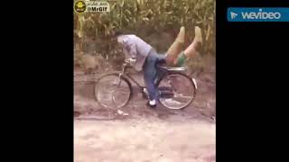 4 Gif dan Video Populer di WA