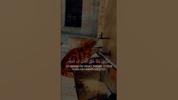 quran kareem surah luqman-القران الكريم سورة لقمان-#القرآن_الكريم #quran #سورة_لقمان #شريف_مصطفى 🌍