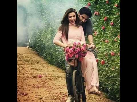 أغنية مسلسل الباشا