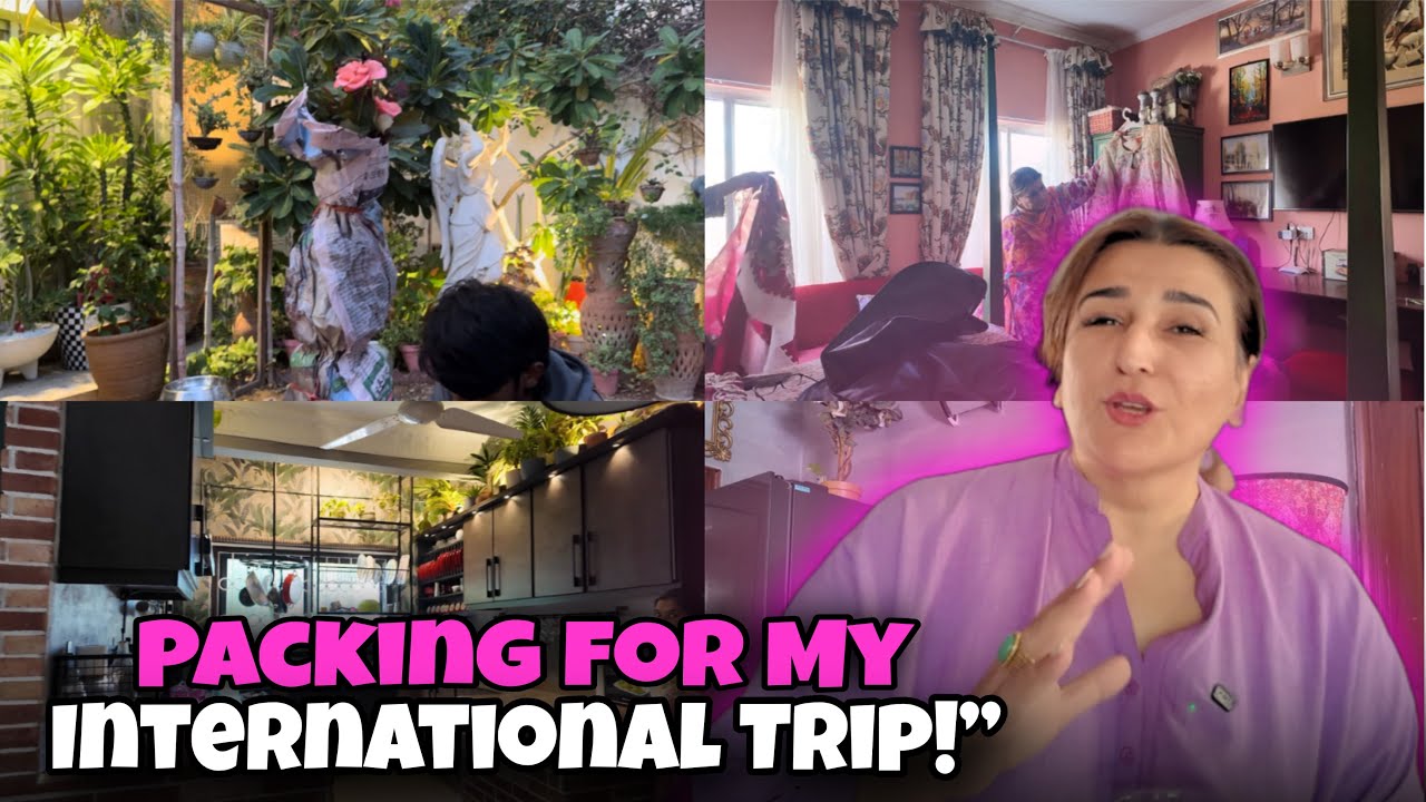 Beautiful Roses Unboxed 🌹| Kitchen Mein New Additions 😍| Travel Ready Guess Where I am Going ✈️