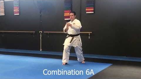 Shitoryu Shukokai Karate Combinations 6 - 10A