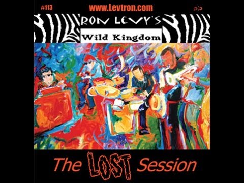 Ron Levy's Wild Kingdom - 'Groovelatin' Acid Blues' - YouTube