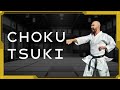 Choku tsuki, Oi Tsuki y Gyaku Tsuki Tutorial - Escuela de Karate Online HK