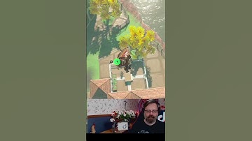 Lost Hylian Shield - Breath of the Wild  #shorts