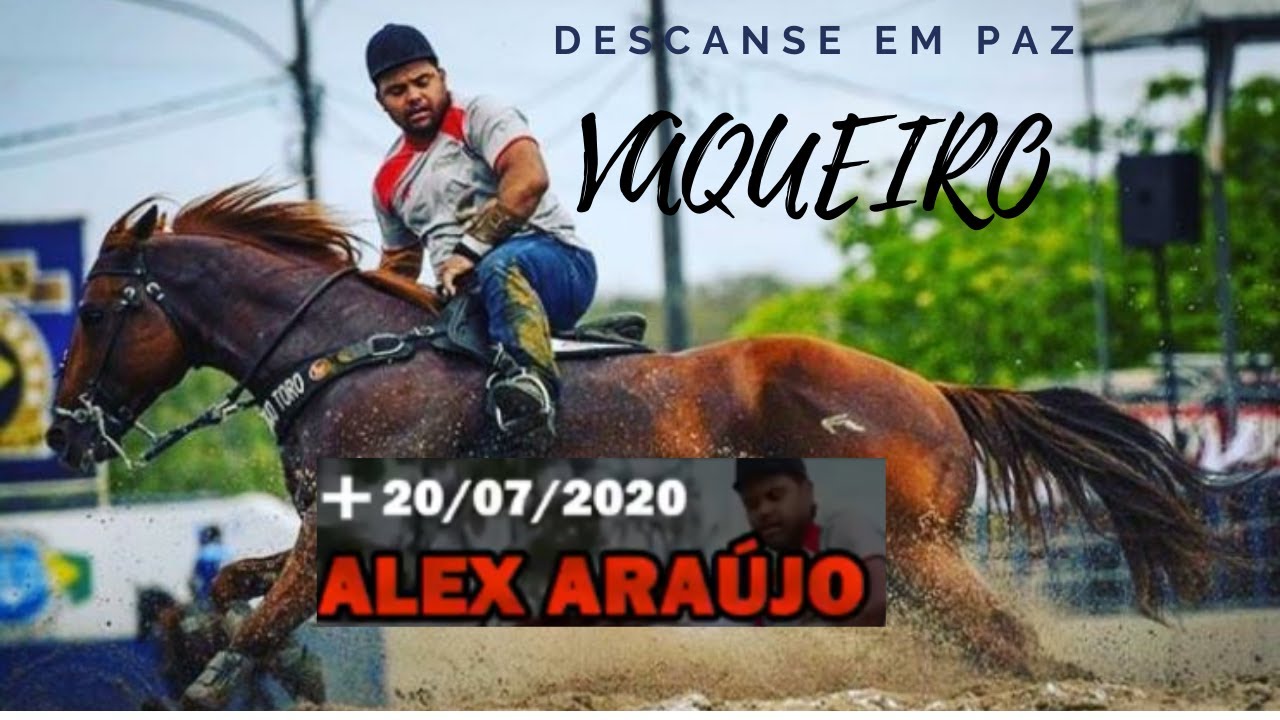 O Adeus ao Vaqueiro Canhotinha de Ouro || Alex Araújo