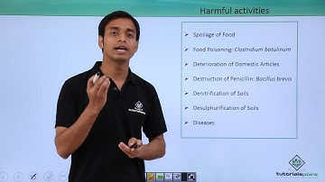 Class 11th – Kingdom Monera - Harmful Activities of Bacteria | Tutorials Point