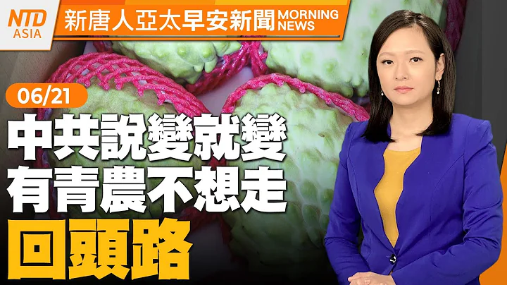 🔥澳洲台海民調出爐｜鳳梨釋迦青農不想走回頭路｜鐵達尼觀光潛艇只剩兩天氧氣│韓特拜登認罪 │#早安新唐人 │20230621(三)│新唐人亞太台 - 天天要聞
