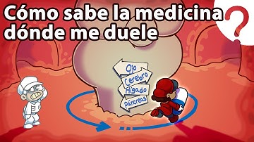 ¿Cómo sabe la medicina dónde curarte?