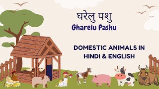 घरेलु पशु (Gharelu Pashu) - Domestic Animals in Hindi & English