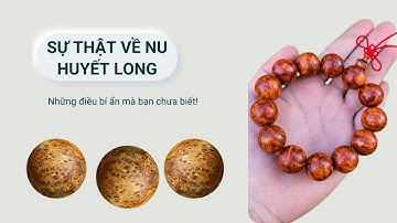 Sự Thật Về Gỗ Nu Huyết Long Không Phải Ai Cũng Biết