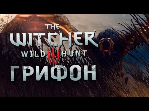 Видео: Прохождение The Witcher 3: Wild Hunt #3 - Грифон