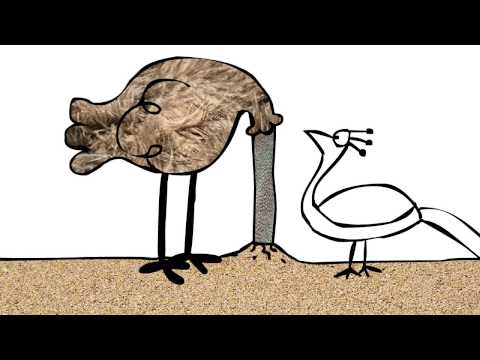 A Peacock's Tale - cute funny animation