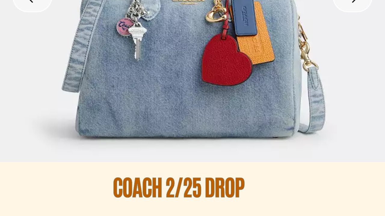 My Dilemma with the February 25 Coach Outlet Drop‼️ - YouTube