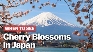 When to See Cherry Blossoms in Japan | japan-guide.com