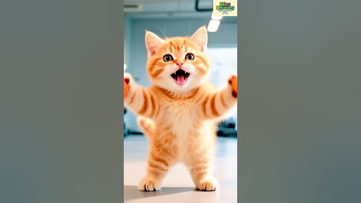 Fat Cat Goes Gym! 😂🍕 Dreams of Junk Food Instead!