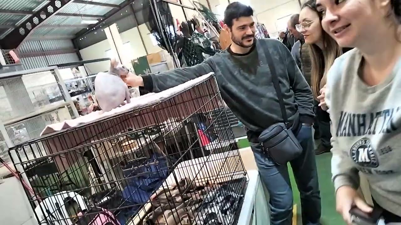 Visitando la alfalfa de Guillena 😉