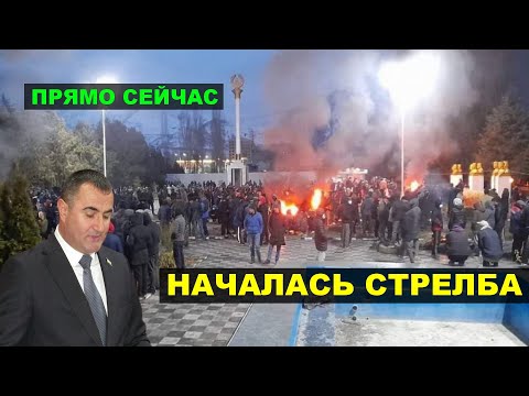 Video: Санкт-Петербургдагы хоп-хоп-маршруткалардын жүрүү графигин кантип табууга болот