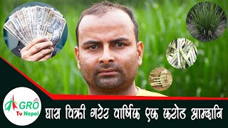 सुपर नेपियर घास विक्री गरेर वार्षिक एक करोड सम्म आम्दानि ||Super Napier Grass Seeds || Agro Tv Nepal