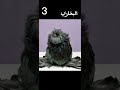 اغلي انواع حمام الزينه في العالم 