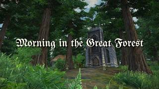 Morning in The Great Forest | 4 Hours of Peaceful Oblivion Music & Forest Ambience
