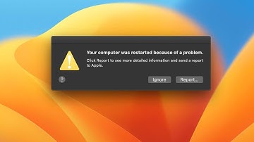 Your Computer Was Restarted Because Of A Problem On Mac