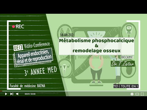 Vidéo: Matériaux De Phosphate De Calcium Bioactif Et Applications Dans La Régénération Osseuse