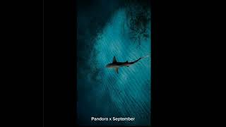 ✦~Pandora x September but its echoed into perfection~✦