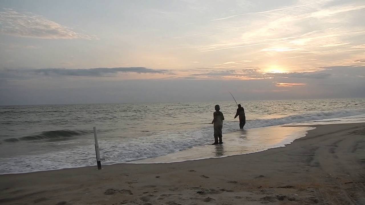 Outer Banks North Carolina Bull Shark Fishing In The Surf YouTube