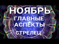 СТРЕЛЕЦ. Таро прогноз на ноябрь. Важные события месяца. Таро онлайн.