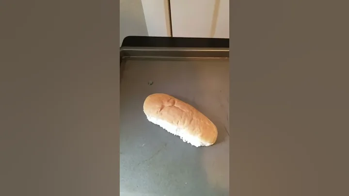 Will It Freeze (-24 F) Hotdog Bun