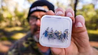 June Mailtime Featuring A Monster Crayfish