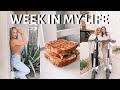 WEEK IN MY LIFE (FRIENDS VISITING, MAKING PANINIS, RIDING SCOOTERS, ETC)