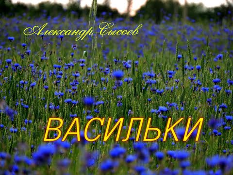 Васильки александров