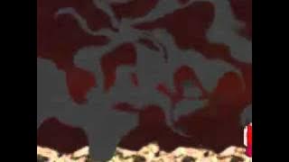 Uminiwa ikanai(I'm not going to the sea) english subbed